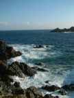 sanguinaires (7).jpg (47,673 bytes)